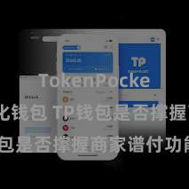 TokenPocket去中心化钱包 TP钱包是否撑握商家谱付功能？